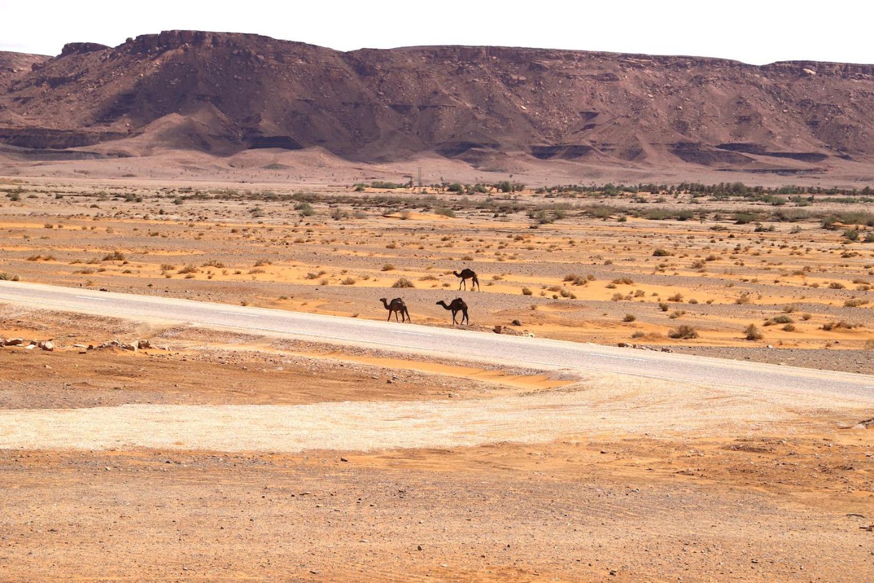 Porte De Sahara Ouzina Exteriör bild