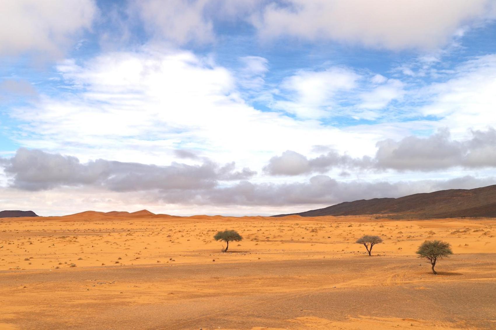 Porte De Sahara Ouzina Exteriör bild